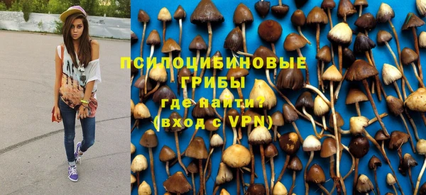 дурь Волоколамск