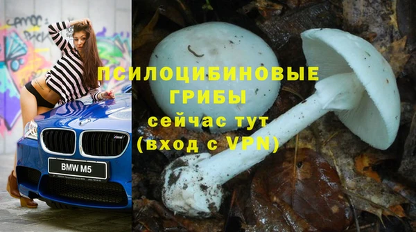 гидропоника Володарск