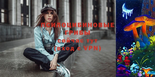 дурь Волоколамск
