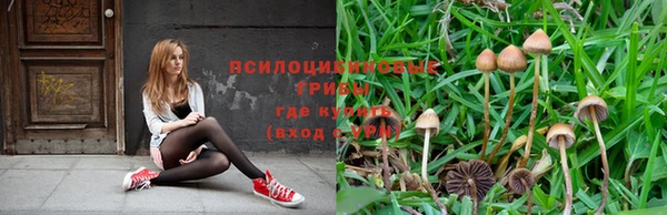 таблы Волосово