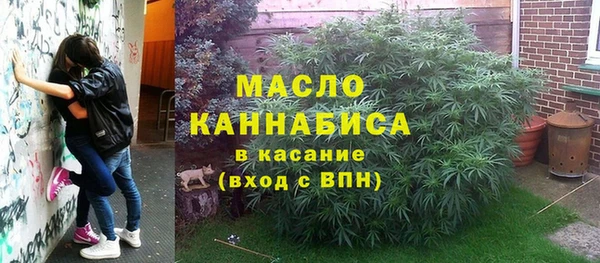 сатива Рославль