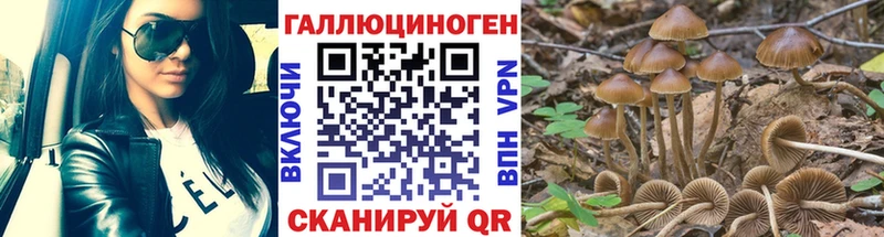 Псилоцибиновые грибы Magic Shrooms  закладка  мега сайт  Зуевка 