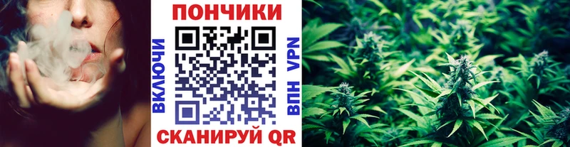 Шишки марихуана гибрид  Зуевка 
